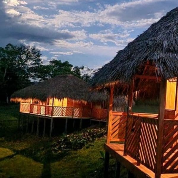 Hotel nativo 2 - Acomodación compartida múltiple