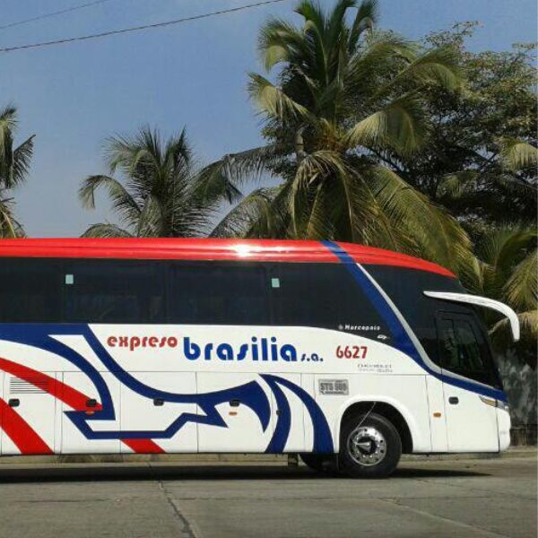 Usaremos éste tipo de buses durante el tour
