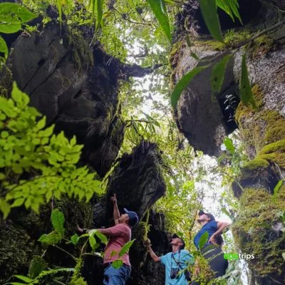 our-bosques-y-cavernas-de-pandora-y-con-Ecotrips-www.ecotrips.co-004